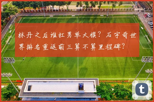 林丹之后谁扛男单大旗？石宇奇世界排名重返前三算不算里程碑？